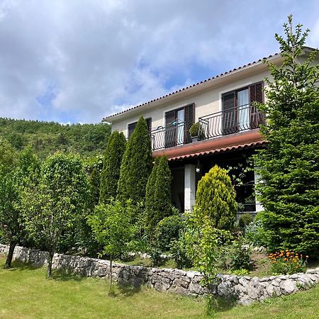 Apartment Vista Lupoglav  Екстериор снимка