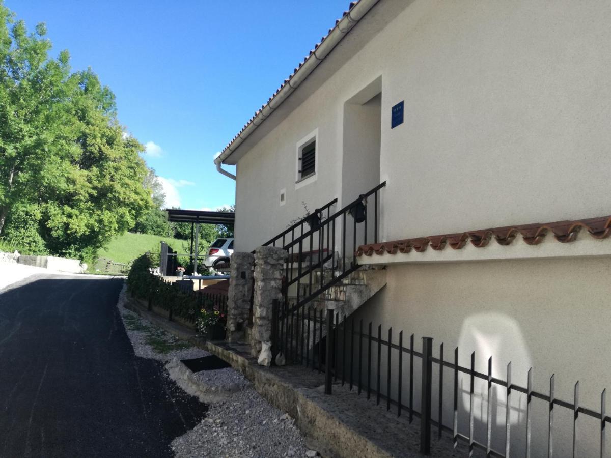 Apartment Vista Lupoglav  Екстериор снимка