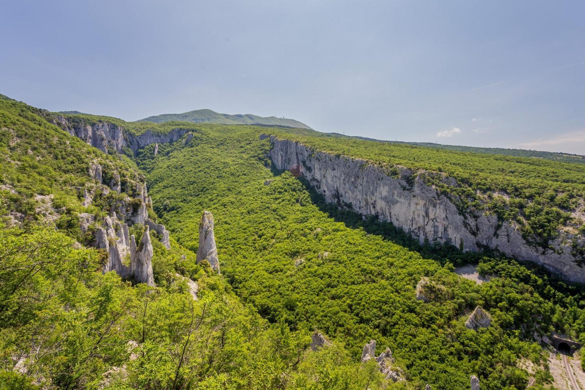 Apartment Vista Lupoglav  Екстериор снимка