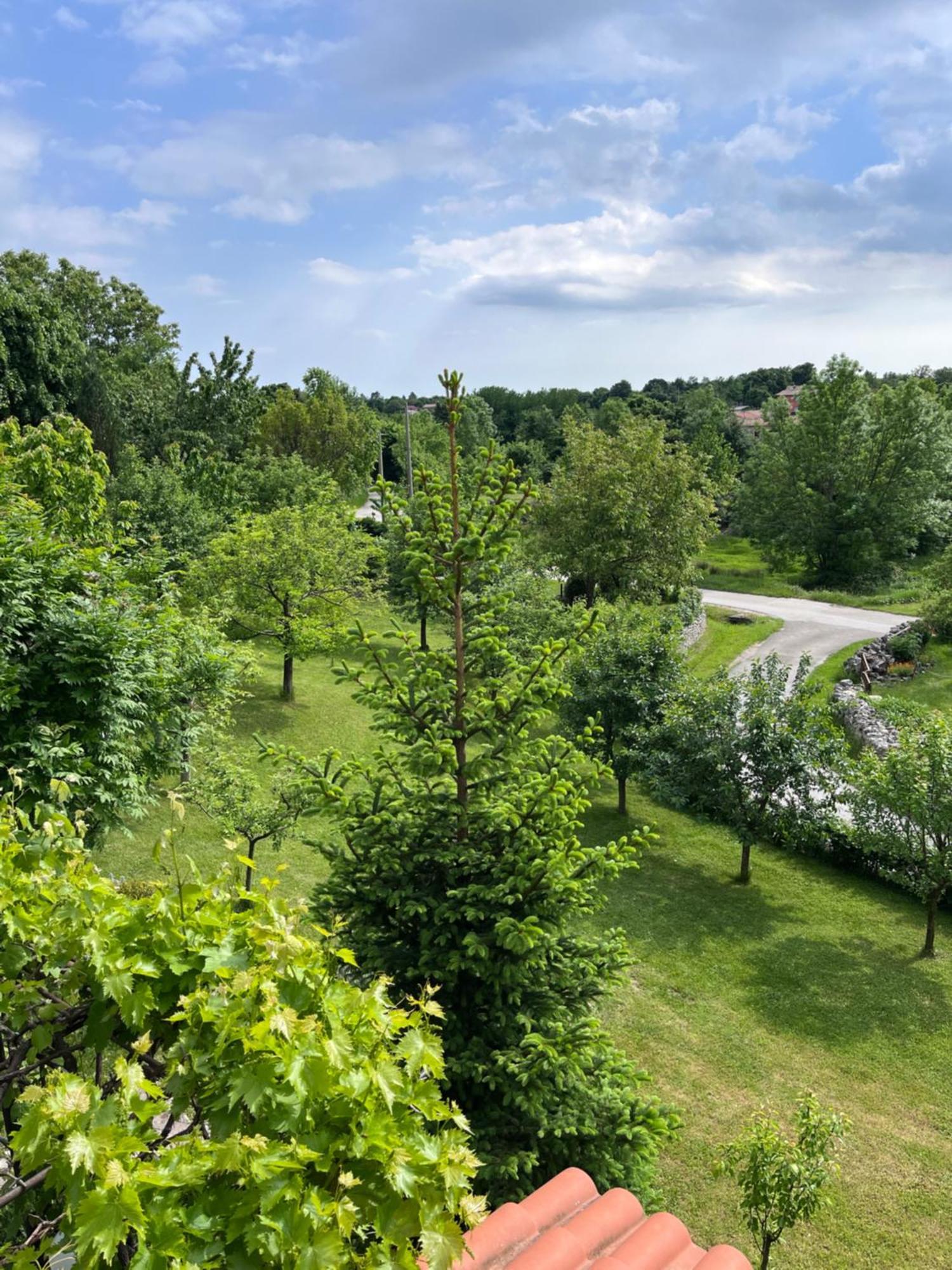 Apartment Vista Lupoglav  Екстериор снимка