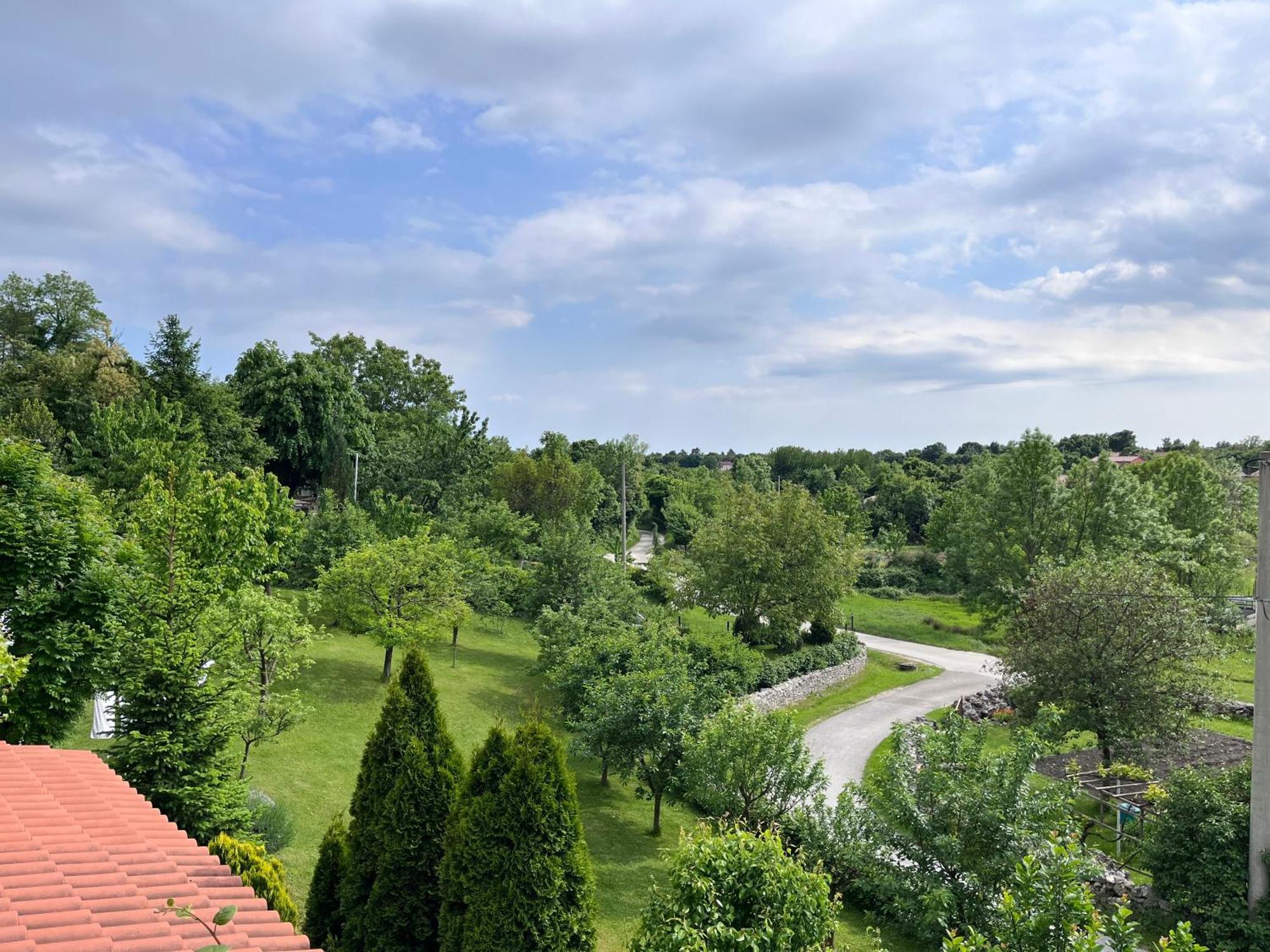 Apartment Vista Lupoglav  Екстериор снимка